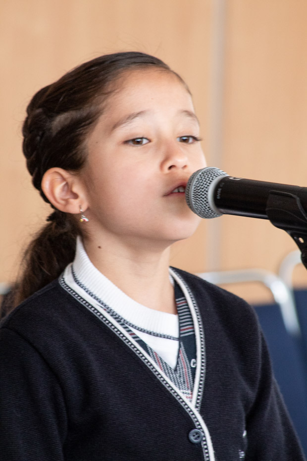 Ir a la Siguiente Foto