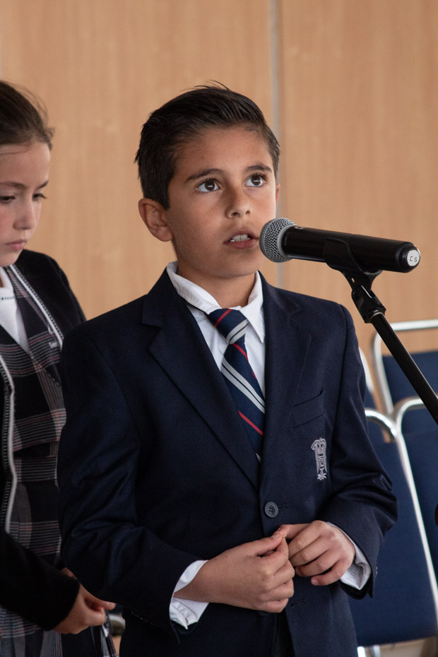 Ir a la Siguiente Foto