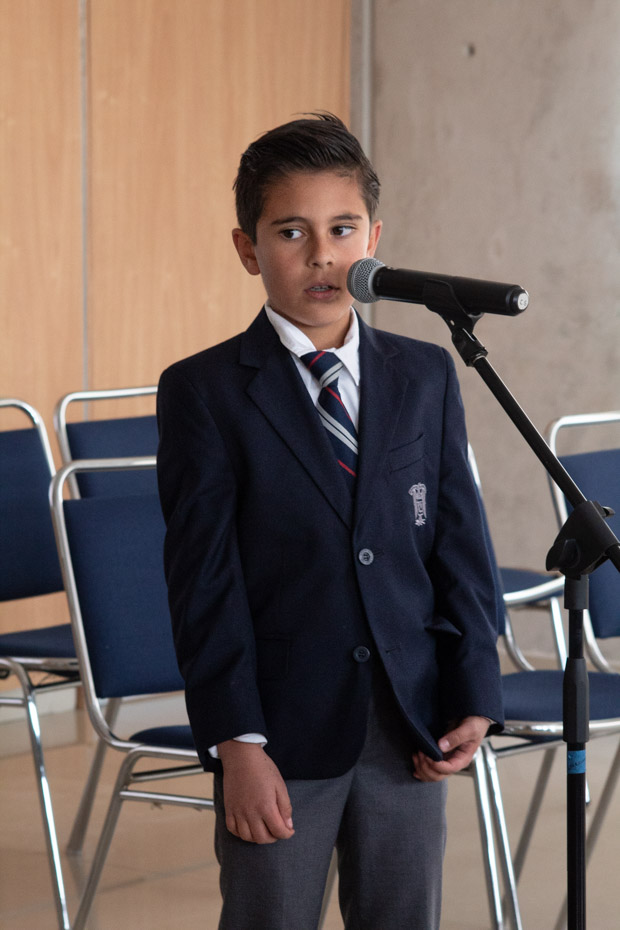 Ir a la Siguiente Foto