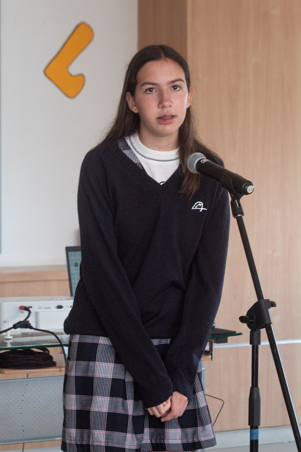 Ir a la Siguiente Foto