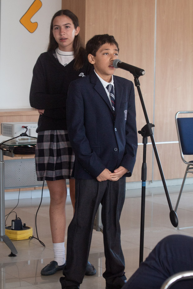 Ir a la Siguiente Foto