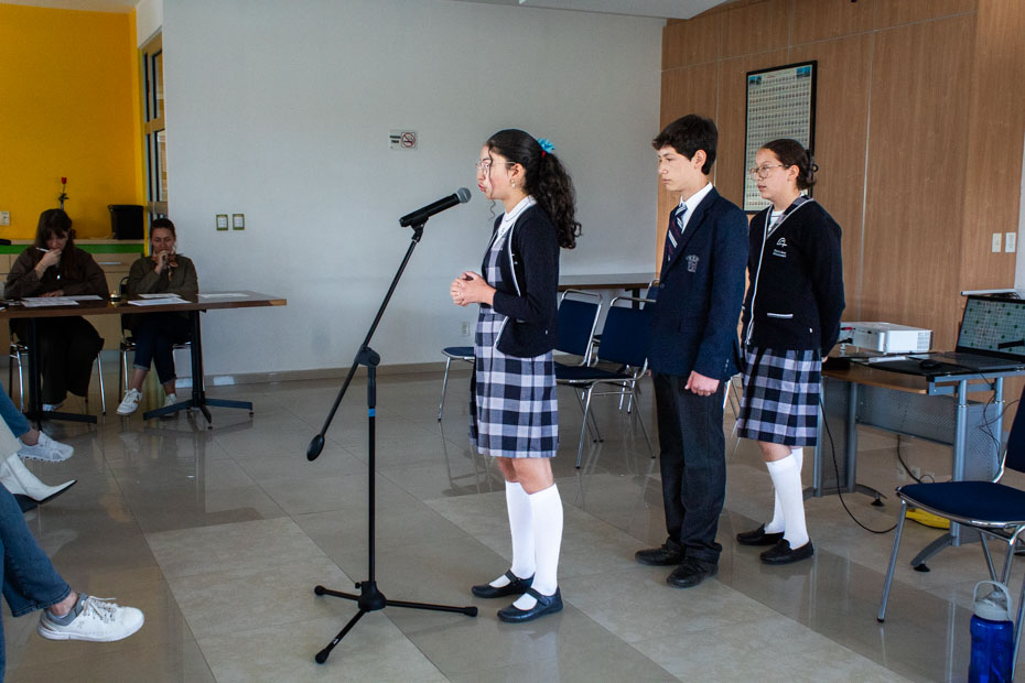 Ir a la Siguiente Foto