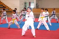09062026examen_taekwondo_jun202612.jpg