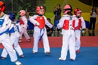 09062026examen_taekwondo_jun2026204.jpg