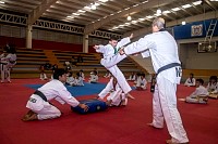 09062026examen_taekwondo_jun2026231.jpg