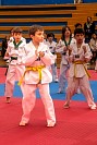 09062026examen_taekwondo_jun202639.jpg