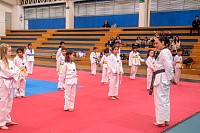 09062026examen_taekwondo_jun20263.jpg
