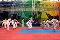 09062026examen_taekwondo_jun202651.jpg