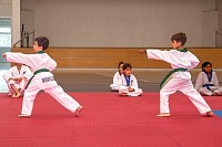 09062026examen_taekwondo_jun202691.jpg