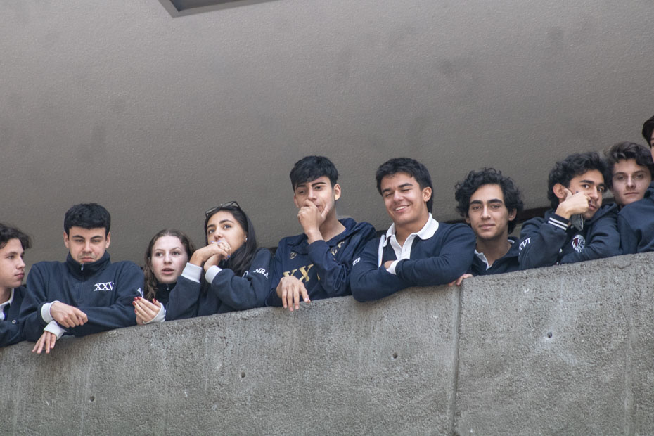 Ir a la Siguiente Foto