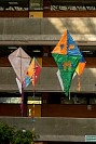 10032026feria_humanidades2026120.jpg