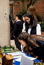 10032026feria_humanidades202683.jpg