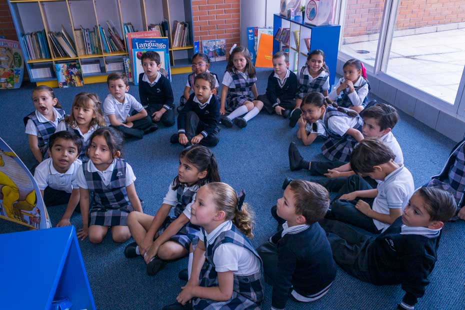 Ir a la Siguiente Foto