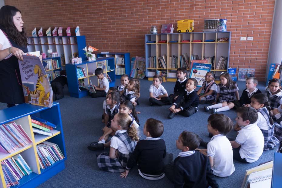 Ir a la Siguiente Foto