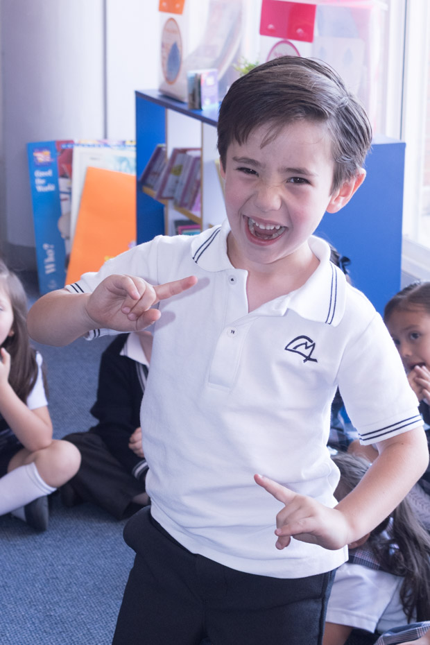 Ir a la Siguiente Foto