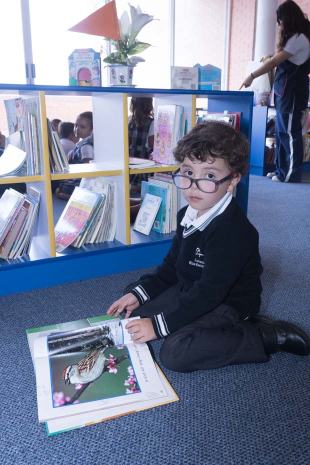 Ir a la Siguiente Foto