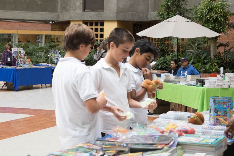 Ir a la Siguiente Foto