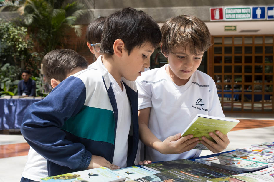 Ir a la Siguiente Foto