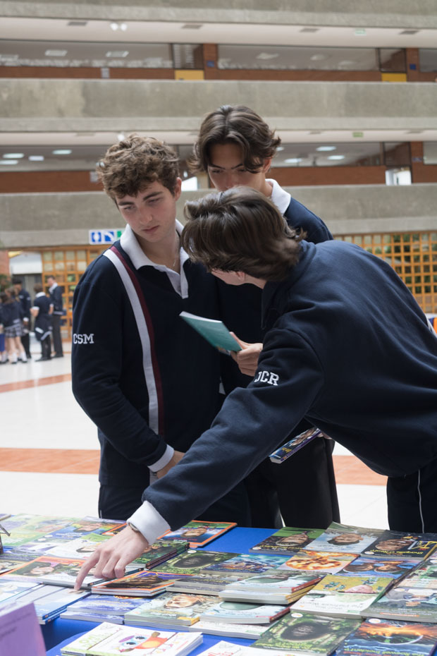 Ir a la Siguiente Foto