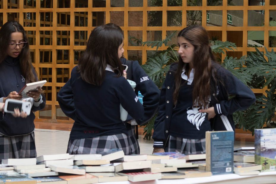 Ir a la Siguiente Foto