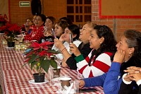 20122025fin_nanas202527.jpg