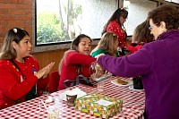 20122025fin_nanas202575.jpg