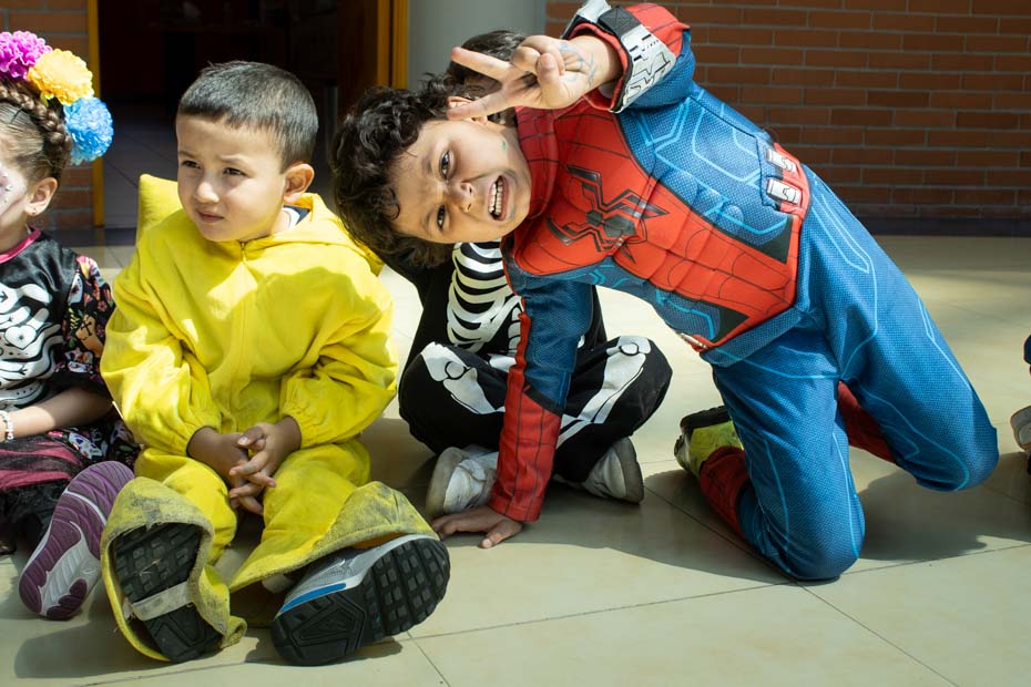 Ir a la Siguiente Foto