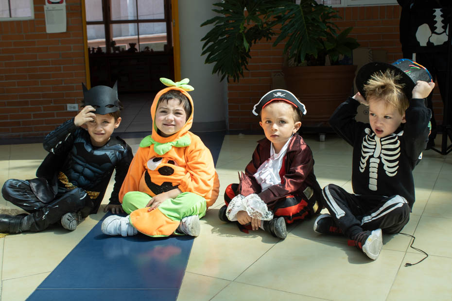 Ir a la Siguiente Foto