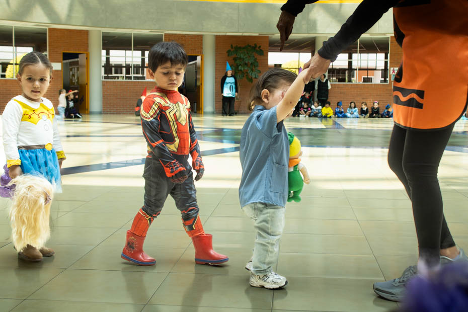 Ir a la Siguiente Foto