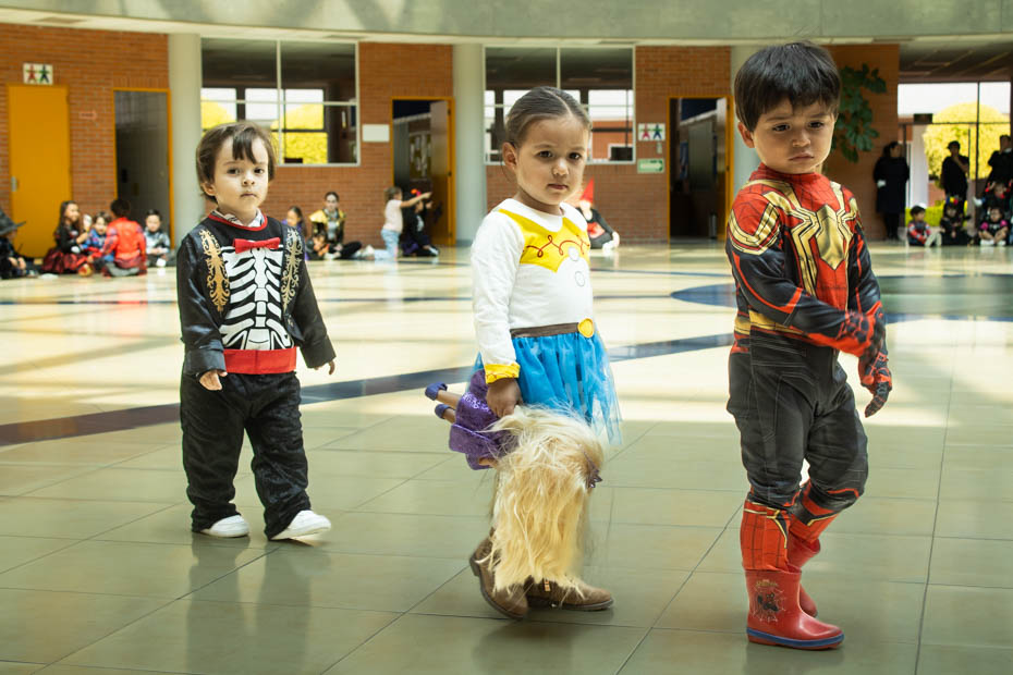 Ir a la Siguiente Foto