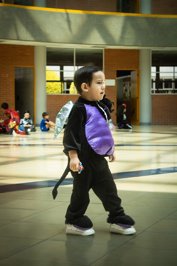 Ir a la Siguiente Foto