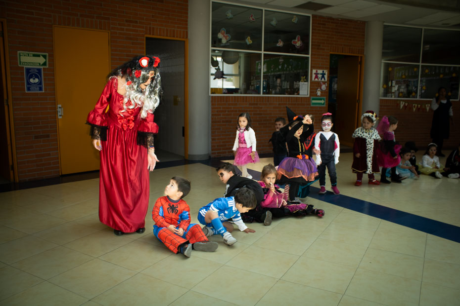 Ir a la Siguiente Foto