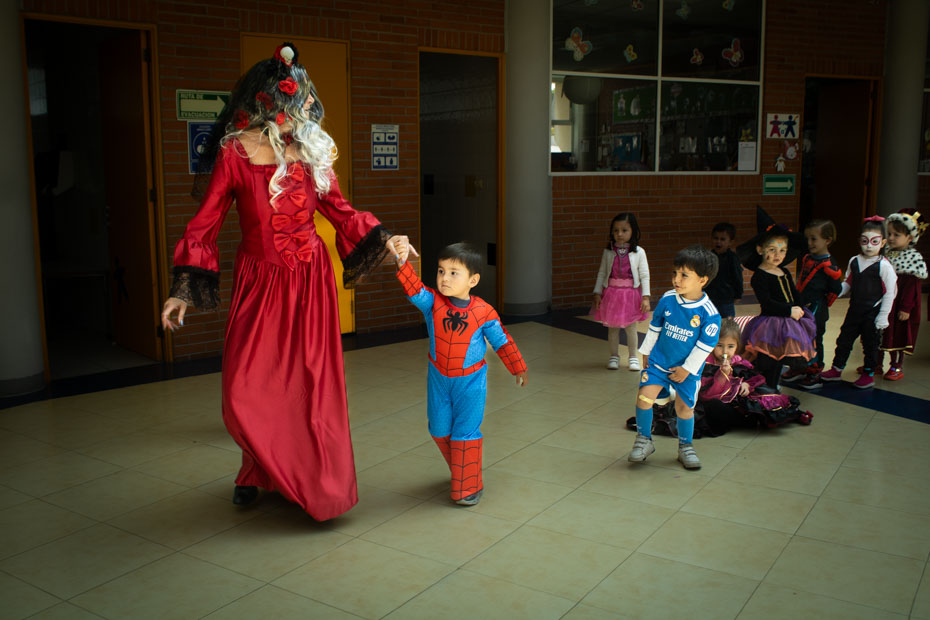 Ir a la Siguiente Foto