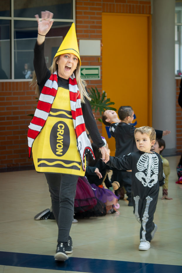 Ir a la Siguiente Foto