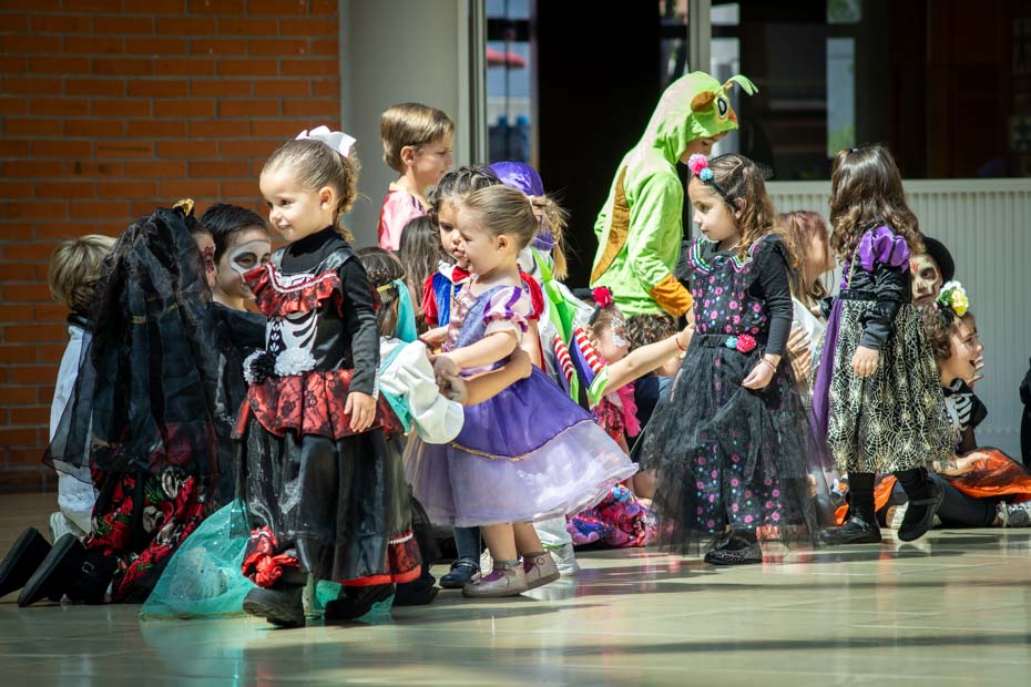 Ir a la Siguiente Foto