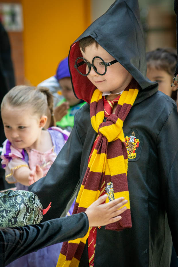 Ir a la Siguiente Foto