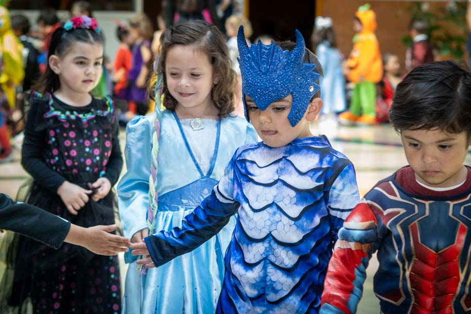 Ir a la Siguiente Foto