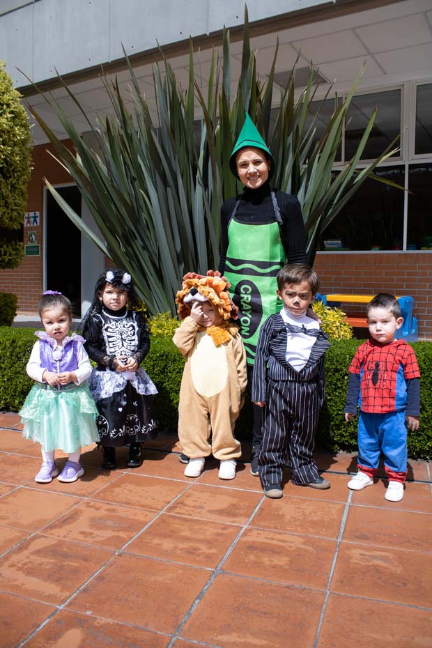 Ir a la Siguiente Foto