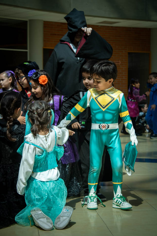 Ir a la Siguiente Foto