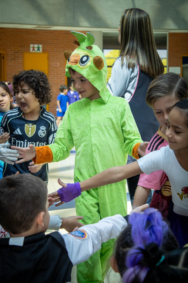 Ir a la Siguiente Foto