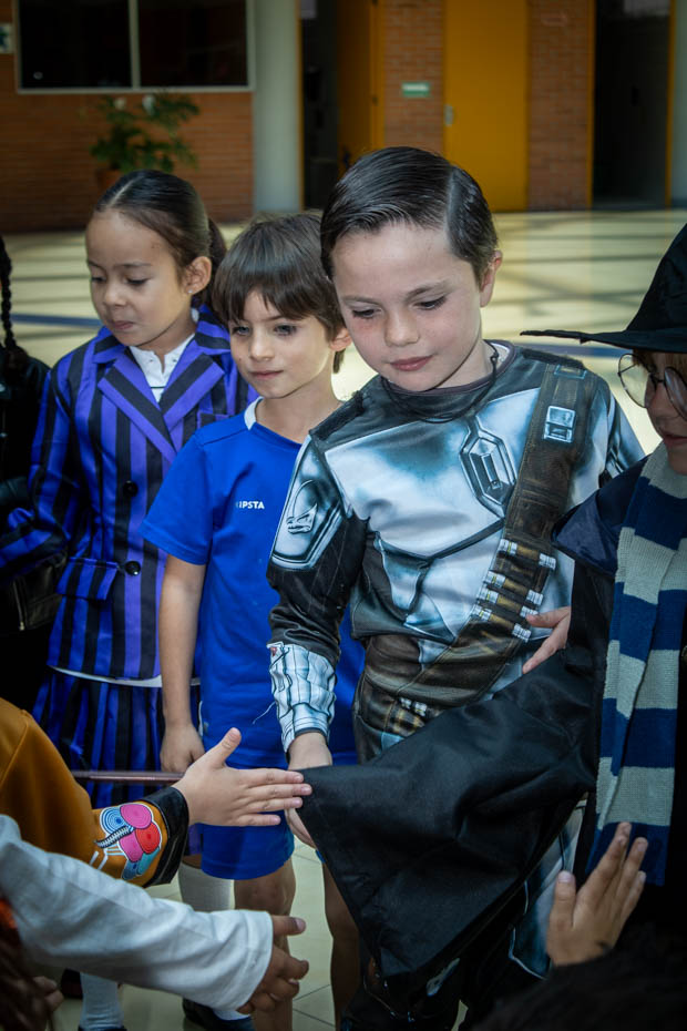 Ir a la Siguiente Foto