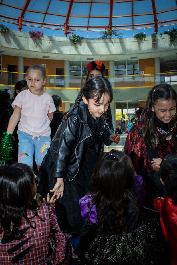 Ir a la Siguiente Foto