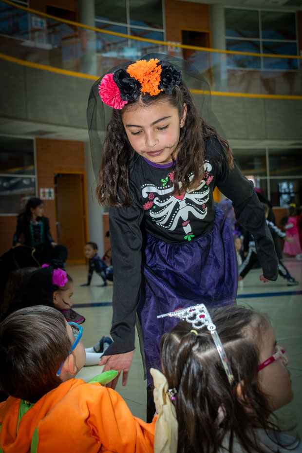 Ir a la Siguiente Foto