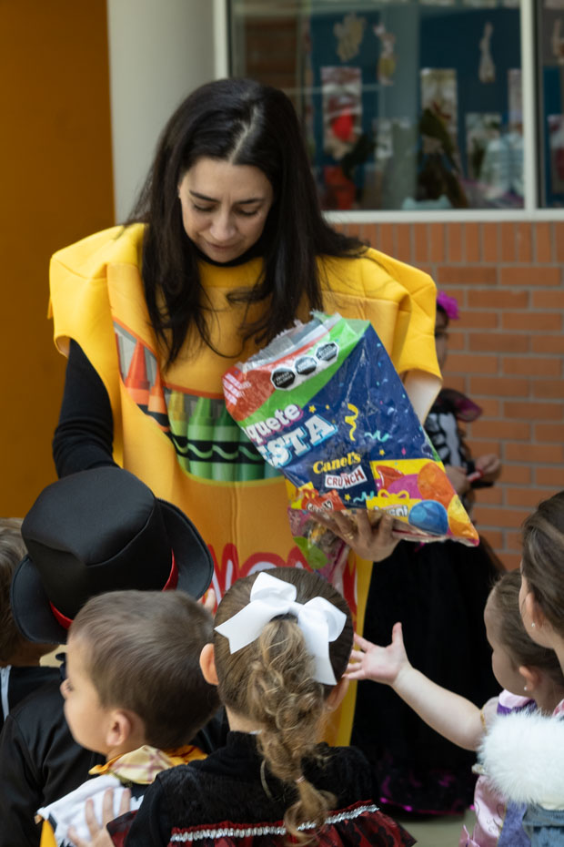 Ir a la Siguiente Foto