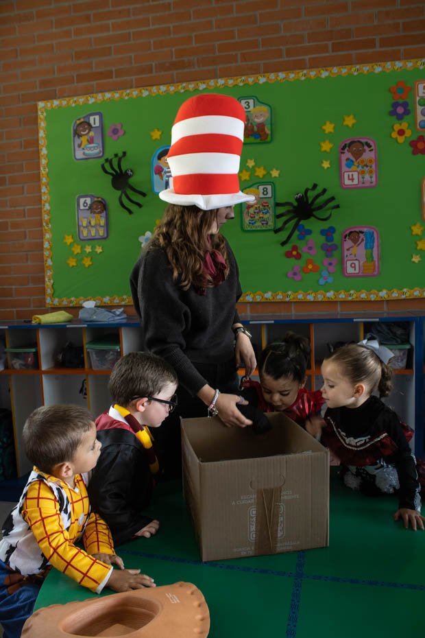 Ir a la Siguiente Foto