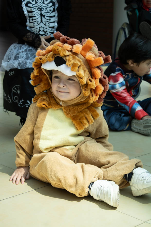 Ir a la Siguiente Foto