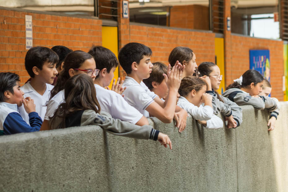 Ir a la Siguiente Foto