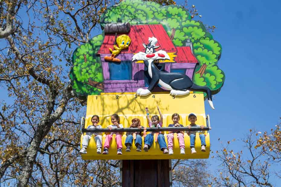 Ir a la Siguiente Foto