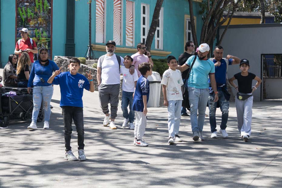 Ir a la Siguiente Foto