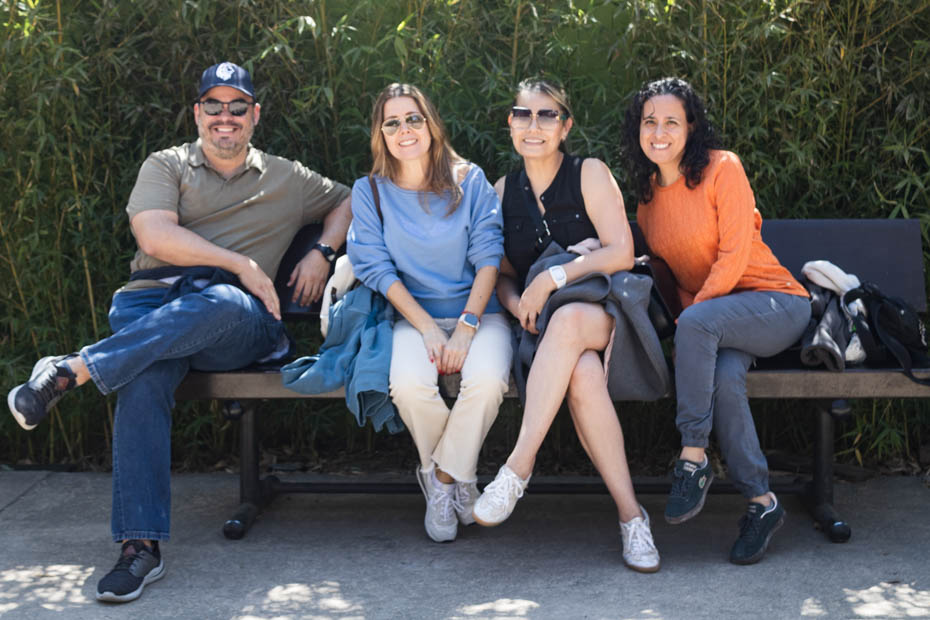 Ir a la Siguiente Foto